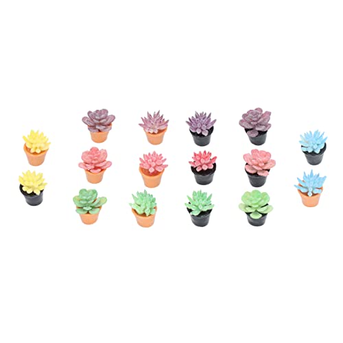Akozon 16pcs Miniaturpuppenhaus -Topfpflanzen 1:12 Skala -Sukkulenten mit Lebensechter Aussehen und Lebendige Farben für Dollhouse Decor Akozon 16pcs Miniaturpuppenhaus -Topfpflanzen 1:12 Skala -Sukkulenten mit Lebensechter Aussehen und Lebendige Farben für Dollhouse Decor von Akozon