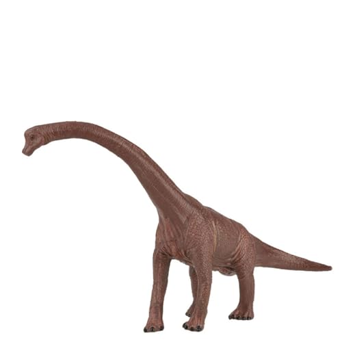 Akozon High Simulation PVC Brachiosaurus Dinosaurierspielzeugmodell - Realistischer Plastikdinosaurier für und Häusliche Ausstellung, Bildungslehrwerkzeug Akozon High Simulation PVC Brachiosaurus Dinosaurierspielzeugmodell - Realistischer Plastikdinosaurier für und Häusliche Ausstellung, Bildungslehrwerkzeug von Akozon