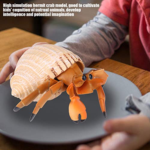 Akozon Realistic Hermit Crab Simulationsmodell Spielzeug für - Bildungsspielzeug Pädagogischer Tier, Sammeldekoration und Kreativer Lernpropie - Sicher für 3+ Im Alter von 3+ von Akozon