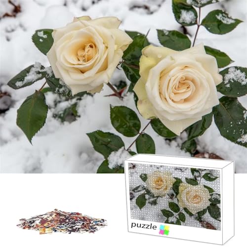 Puzzle 1000Teile Puzzle Rose, Erwachsene Anspruchsvoll Impossible, Passgenauen Puzzleteilen, Kreative Lustige Muster, Geschicklichkeitsspiel für die Ganze Familie, Geschenke für Frauen, Winter L-75 von Alaoan