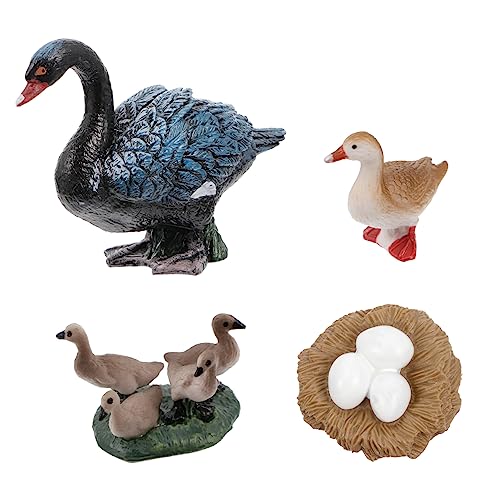 Alasum 1 Schwarzes Schwan Modell Kinderspielzeug Schwan Skulptur Schwan Evolutionsmodell Lebensechtes Tierzyklus Spielset Osterei Dekoration Schwan Lebenszyklus Figur Gefälschter Alasum 1 Schwarzes Schwan Modell Kinderspielzeug Schwan Skulptur Schwan Evolutionsmodell Lebensechtes Tierzyklus Spielset Osterei Dekoration Schwan Lebenszyklus Figur Gefälschter von Alasum