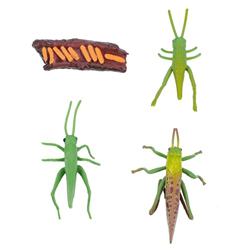 Alasum 1Satz Kreatives Insektenmodell Realistische Gartendekoration für Frühe Bildung und Bauernhofgestaltung Handbemalt mit Detailgetreuen Figuren für Lernen Alasum 1Satz Kreatives Insektenmodell Realistische Gartendekoration für Frühe Bildung und Bauernhofgestaltung Handbemalt mit Detailgetreuen Figuren für Lernen von Alasum
