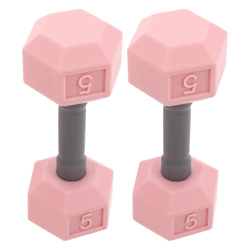 Alasum 2 Stück Mini-hanteln Boxspiel Für Süßer Visitenkartenhalter Kleine Gewichte Für Frauen Trittsteine ​​für Socken Und Boppers Für Erwachsene Hantelbaum Rosa Kieselgel von Alasum