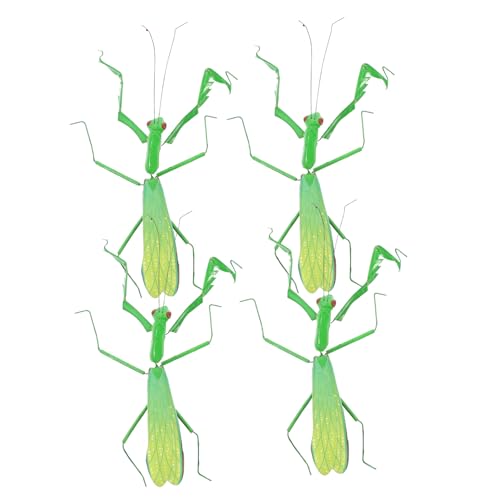 Alasum 4 Stück Teiliges Realistische Gottesanbeterin Figuren Simulation Insektenmodell Lebensecht für Blumentopf Dekoration Kinderzimmer und Fotorequisite Alasum 4 Stück Teiliges Realistische Gottesanbeterin Figuren Simulation Insektenmodell Lebensecht für Blumentopf Dekoration Kinderzimmer und Fotorequisite von Alasum