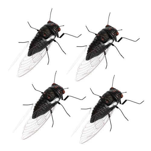 Alasum 4Stücke Simulierte Insektenfiguren Realistische Zikaden Dekoration für Bildung und Kreative für Schreibtisch und Kinderzimmer Alasum 4Stücke Simulierte Insektenfiguren Realistische Zikaden Dekoration für Bildung und Kreative für Schreibtisch und Kinderzimmer von Alasum