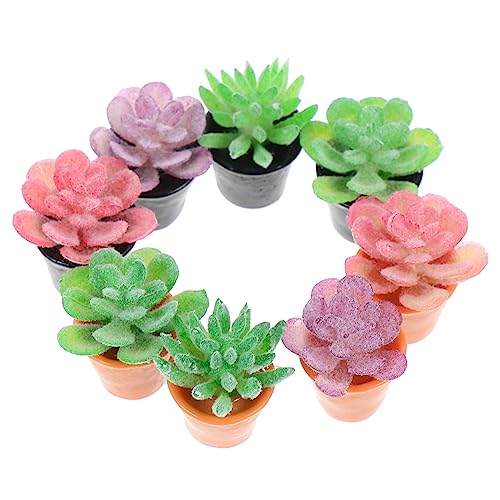 Alasum 8 Stück künstliche Topfpflanze gefälscht Puppenhaus Pflanzen Puppenhaus-Miniatur-Topfblumen Mini-Pflanzen Puppenhaus-Gartenpflanzen Mini-künstliche Pflanzen Puppenhaus saftig Harz Alasum 8 Stück künstliche Topfpflanze gefälscht Puppenhaus Pflanzen Puppenhaus-Miniatur-Topfblumen Mini-Pflanzen Puppenhaus-Gartenpflanzen Mini-künstliche Pflanzen Puppenhaus saftig Harz von Alasum
