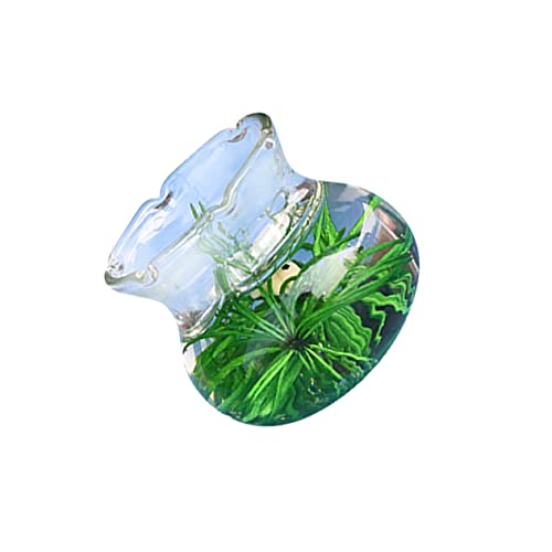 Alasum Goldfischglas aus Glas Heimdekorationen Mikrolandschaftsornament Puppenmöbel Dekoration Mini- Living Room Decoration wohnzimmerdeko Miniatur Fischglas Aquarium- Yellow Alasum Goldfischglas aus Glas Heimdekorationen Mikrolandschaftsornament Puppenmöbel Dekoration Mini- Living Room Decoration wohnzimmerdeko Miniatur Fischglas Aquarium- Yellow von Alasum