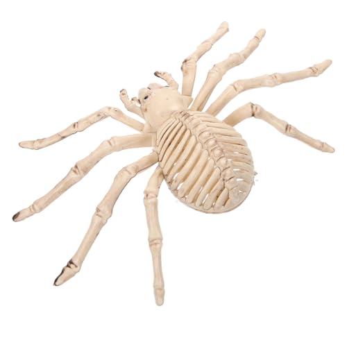 Alasum Halloween Deko Spinne Skelett Beige Plastik Schädel Gruselige Party Requisite für Haunted House Wand Tür Dekoration Zufällige Farbe Zufällige Farbe Alasum Halloween Deko Spinne Skelett Beige Plastik Schädel Gruselige Party Requisite für Haunted House Wand Tür Dekoration Zufällige Farbe Zufällige Farbe von Alasum