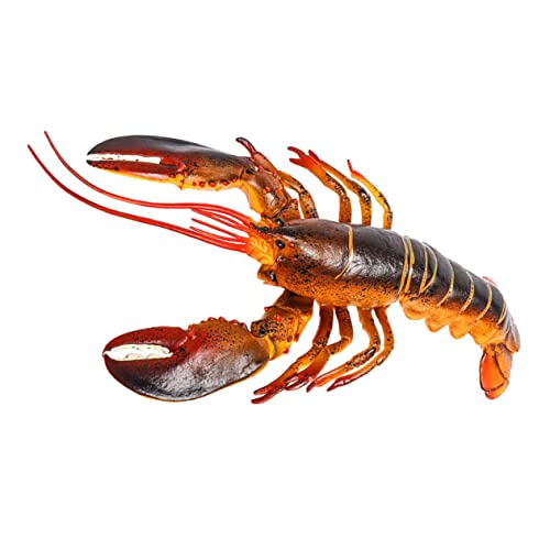 Alasum Hummer-Figuren- hühner Educational Toys Pädagogisches gefälschter Hummer Meerestierfiguren Tiere simuliertes Tier Hummer kognitives Modell Plastik Alasum Hummer-Figuren- hühner Educational Toys Pädagogisches gefälschter Hummer Meerestierfiguren Tiere simuliertes Tier Hummer kognitives Modell Plastik von Alasum