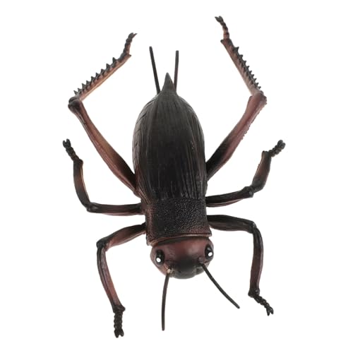 Alasum Cricket Streich Spielzeug Realistische Simulierte Cricket Handwerk Figurine Desktop Ornament Lästige Geräusche Prop Alasum Cricket Streich Spielzeug Realistische Simulierte Cricket Handwerk Figurine Desktop Ornament Lästige Geräusche Prop von Alasum