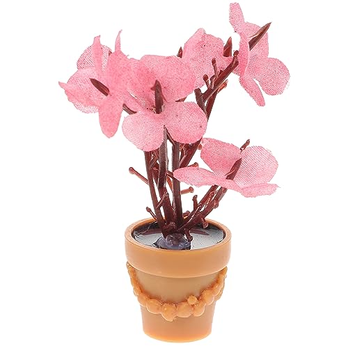 Alasum Miniatur Blumenmodell Für Puppenhaus Dekoratives Accessoire Für Miniaturlandschaften Runde Blumentopf Ideal Für Puppenstubenmöbel Und Miniatur Dekoration Alasum Miniatur Blumenmodell Für Puppenhaus Dekoratives Accessoire Für Miniaturlandschaften Runde Blumentopf Ideal Für Puppenstubenmöbel Und Miniatur Dekoration von Alasum