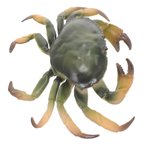 Alasum Simulation Gekochte Krabbenmodelle für Aquarium Dekoration Realistisches Spielzeugset für Kreative Spielideen Verschönerung von Käfigen und Tischen Alasum Simulation Gekochte Krabbenmodelle für Aquarium Dekoration Realistisches Spielzeugset für Kreative Spielideen Verschönerung von Käfigen und Tischen von Alasum