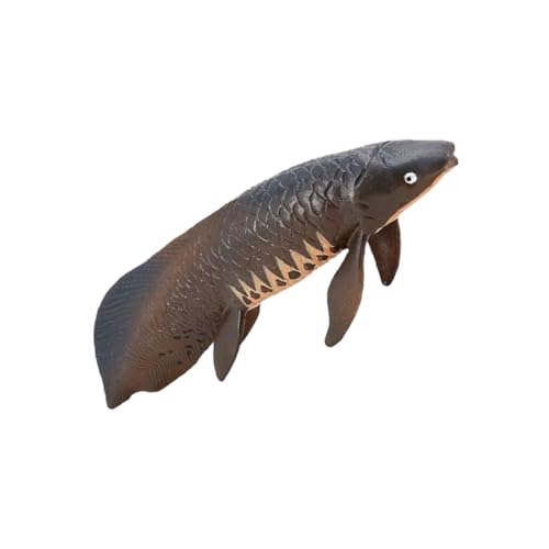 Alasum Simulation Pirarucu Modell Plastisches Für Realistisches Meerestier Frühe Bildung Dekorative Figur Ideal Für Aquarium Dekoration Und Für Jungen Und ädchen Alasum Simulation Pirarucu Modell Plastisches Für Realistisches Meerestier Frühe Bildung Dekorative Figur Ideal Für Aquarium Dekoration Und Für Jungen Und ädchen von Alasum