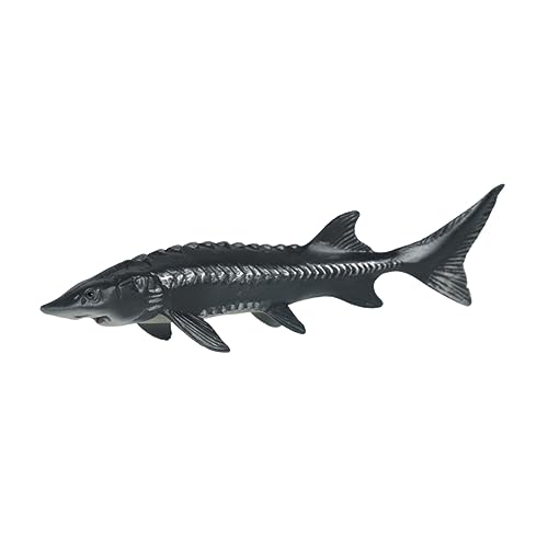 Alasum Tier Modell für Lebensechtes Fisch Modell Pädagogisches Kognitiven Fähigkeiten für Kreative Spielstunden Sicheres und Langlebiges Alasum Tier Modell für Lebensechtes Fisch Modell Pädagogisches Kognitiven Fähigkeiten für Kreative Spielstunden Sicheres und Langlebiges von Alasum