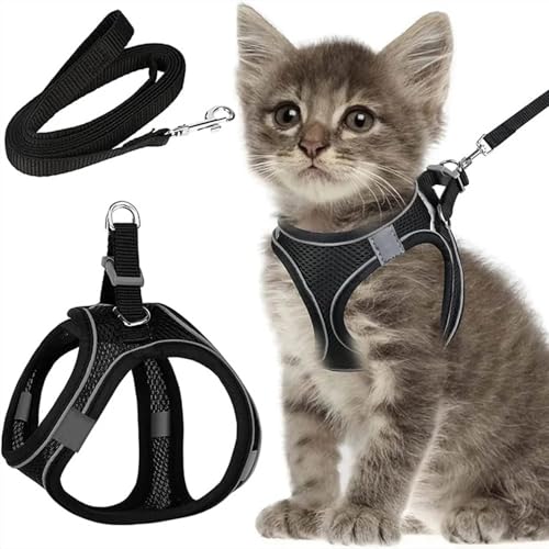 Alecony Atmungsaktives Katzengeschirr Verstellbar mit 150CM Leine Ausbruchsicher Reflektierend XXS Flexibel für Katzen Kätzchen Welpen Kleine Hunde zum Laufen Training Im Freien Sicher​ von Alecony