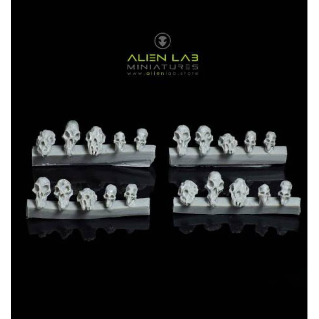 'Skulls of the Beast' von Alien Lab