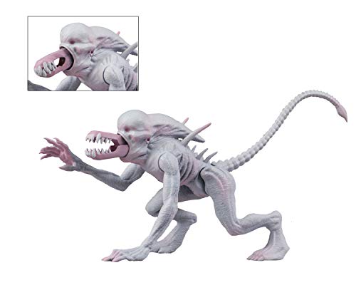 Alien 51695 NECA51695 Predator Neomorpo Action Figur 15Cm, Mehrfarbig Alien 51695 NECA51695 Predator Neomorpo Action Figur 15Cm, Mehrfarbig von Alien