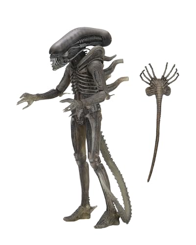 Alien NECA Xenomorph 40th Anniversary, H857800 von NECA