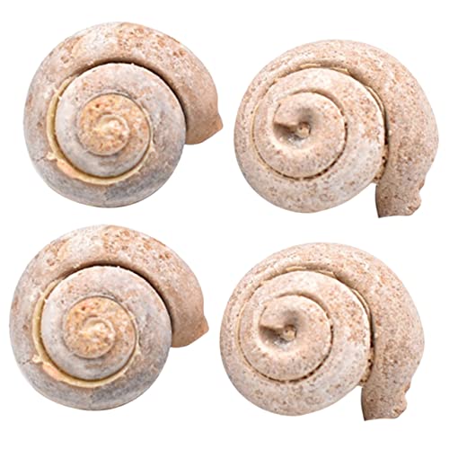 Alipis 1 Satz Probe Wissenschaft Ornament Schnecke Dekoration Student Lehre Schmuck Lehrmittel Modell Simulation Modell Probe 4 Stück Alipis 1 Satz Probe Wissenschaft Ornament Schnecke Dekoration Student Lehre Schmuck Lehrmittel Modell Simulation Modell Probe 4 Stück von Alipis