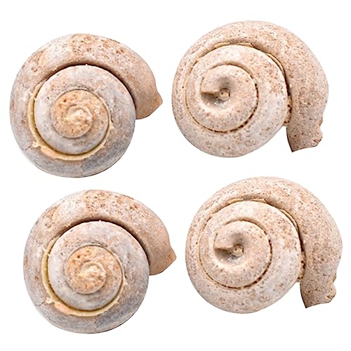 Alipis 4stücke Kreative Schnecke Lernspielzeug Schmuck Simulationsmodell Desktop-ornament Aus Hochwertigem Material Alipis 4stücke Kreative Schnecke Lernspielzeug Schmuck Simulationsmodell Desktop-ornament Aus Hochwertigem Material von Alipis