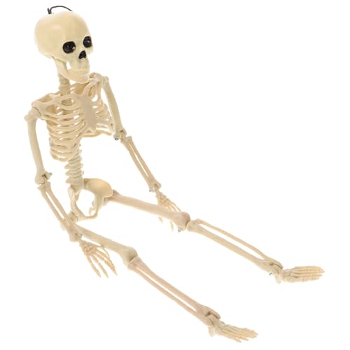 Alipis 1 Stück Halloween-Skelett halloween halloween schädel Halloween- Halloween -Party -Dekorationen Halloween dekoratives Modell lustiges Skeletthandwerk Plastik Weiß von Alipis