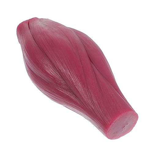 Alipis 1 Stück Human Body Muscle Model Anatomisches Modell für Fitness Ausbildungszwecke Detailgetreu aus Umweltfreundlichem für Trainer Lehrzwecke von Alipis