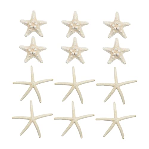 Alipis Künstlerische Seestern-Ornamente 12er-Set Natürliche Dekorationen Zum Basteln Für Zuhause Büro Bar Alipis Künstlerische Seestern-Ornamente 12er-Set Natürliche Dekorationen Zum Basteln Für Zuhause Büro Bar von Alipis