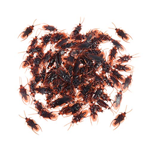 Alipis 150 Stück Gefälschte Kakerlaken Ziemlich Realistische PVC-Simulations-Kakerlaken Streich-Requisiten Künstliche Kakerlake Lebensecht Gruselig Ideal Für Halloween-Projekte Um Leute Alipis 150 Stück Gefälschte Kakerlaken Ziemlich Realistische PVC-Simulations-Kakerlaken Streich-Requisiten Künstliche Kakerlake Lebensecht Gruselig Ideal Für Halloween-Projekte Um Leute von Alipis