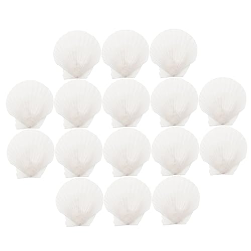 Alipis 16 Stück Muschelschale natürlich thematisiert große Jakobsmuscheln Strand Große Muscheldekoration Muscheln basteln DIY Jakobsmuscheln große Muscheln Aquarium Natural Decor Hülse Alipis 16 Stück Muschelschale natürlich thematisiert große Jakobsmuscheln Strand Große Muscheldekoration Muscheln basteln DIY Jakobsmuscheln große Muscheln Aquarium Natural Decor Hülse von Alipis