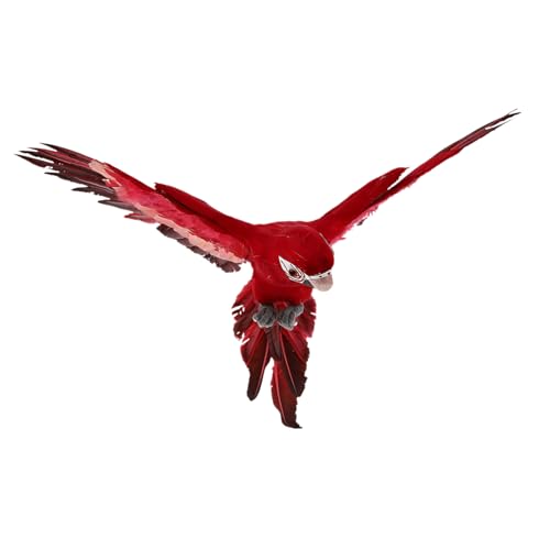 Alipis 1Stk künstlicher Vogel Papagei-Ornament Papageien-Wandskulptur Papagei künstliche Vögel gartendekoration Garden Decor Szenenlayout-Requisite Papageienstatuen Schaum rot Alipis 1Stk künstlicher Vogel Papagei-Ornament Papageien-Wandskulptur Papagei künstliche Vögel gartendekoration Garden Decor Szenenlayout-Requisite Papageienstatuen Schaum rot von Alipis