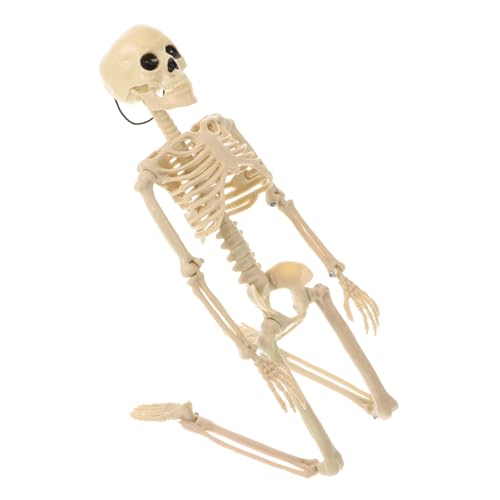 Alipis 1Stück Simuliertes Skelett Modell Lustige Halloween Dekoration Für Szenenlayout Kreatives Skelett Requisiten Für Gruselige Feiern Halloween Partys Weiß von Alipis