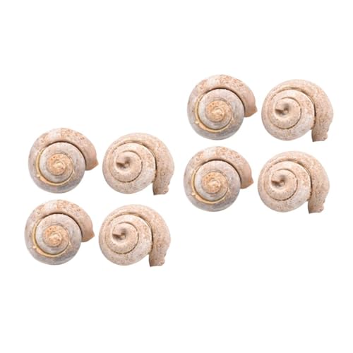 Alipis 2 Sätze Probe Wissenschaft Ornament Schnecke Tischschmuck Probe Dekoration Student Lehre Simulation Werkzeug Modell 4 Stück * 2 Alipis 2 Sätze Probe Wissenschaft Ornament Schnecke Tischschmuck Probe Dekoration Student Lehre Simulation Werkzeug Modell 4 Stück * 2 von Alipis
