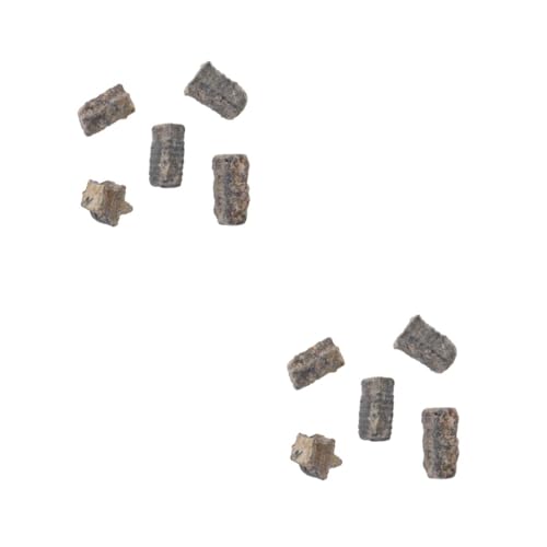 Alipis 2 Stck. fossiles Exemplar Desktop-Ornament Kinderspielzeug modell Probe Schüler unterrichten Seesternverzierung Lehrwerkzeug Dekoration Bildungsspielzeug Alipis 2 Stck. fossiles Exemplar Desktop-Ornament Kinderspielzeug modell Probe Schüler unterrichten Seesternverzierung Lehrwerkzeug Dekoration Bildungsspielzeug von Alipis