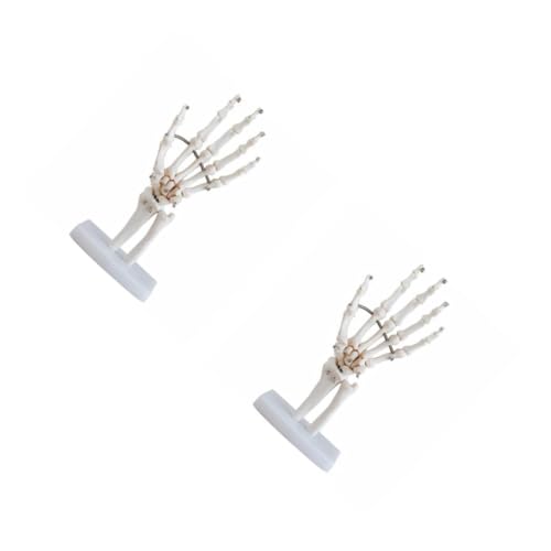Alipis 2 Stück Handknochenmodell Für Menschlich Simulation Handmodell Skelett Realistisch Handgelenk-simulationsmodell Voll Anatomiemodell Der Hand Gemeinsam Handgelenk Modell Pvc Weiß Alipis 2 Stück Handknochenmodell Für Menschlich Simulation Handmodell Skelett Realistisch Handgelenk-simulationsmodell Voll Anatomiemodell Der Hand Gemeinsam Handgelenk Modell Pvc Weiß von Alipis