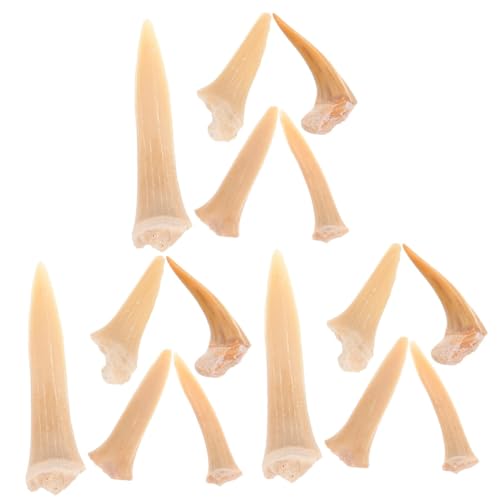 Alipis 3 Sätze Fossilienanhänger Haifischzähne Strand Halskette Hai-anhänger Cooler Kettenanhänger Zahncharm Charme Reiz Zahn Halskette Zahnkette Für Männer Zahnketten 5 Stücke * 3 Alipis 3 Sätze Fossilienanhänger Haifischzähne Strand Halskette Hai-anhänger Cooler Kettenanhänger Zahncharm Charme Reiz Zahn Halskette Zahnkette Für Männer Zahnketten 5 Stücke * 3 von Alipis