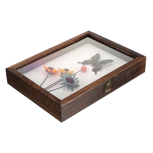 Alipis Box Exemplar Ausstellungsbox Museums Exemplar Ausstellungsrahmen Sammlungs Ausstellungsvitrine Großer Gerahmter Holz Schaukasten Exemplar Rahmen Exemplar Behälter Exemplar Alipis Box Exemplar Ausstellungsbox Museums Exemplar Ausstellungsrahmen Sammlungs Ausstellungsvitrine Großer Gerahmter Holz Schaukasten Exemplar Rahmen Exemplar Behälter Exemplar von Alipis