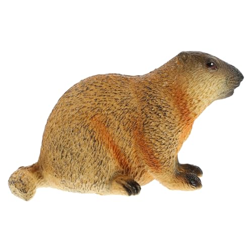 Alipis Erdmännchen Figur Als Lebensechtes Deko-Element Realistische Tierfigur Für Kinderzimmer Klassenzimmer Wohnraum Pädagogisches Spielzeug Tierkognition Kreativität Alipis Erdmännchen Figur Als Lebensechtes Deko-Element Realistische Tierfigur Für Kinderzimmer Klassenzimmer Wohnraum Pädagogisches Spielzeug Tierkognition Kreativität von Alipis