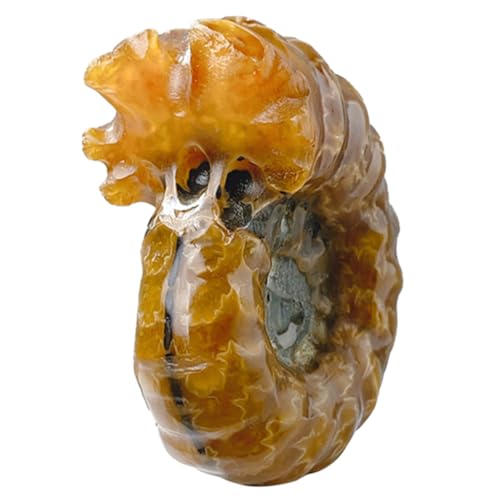 Alipis Kristall Muschelstein Deko Für Zuhause Natürliche Steinsammlung Exquisite Tischdekoration Für Besondere Anlässe von Alipis