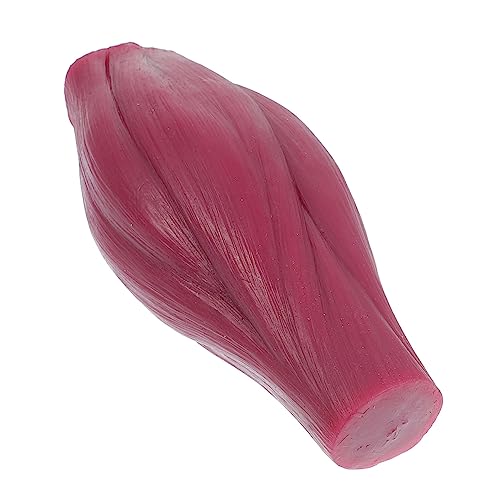 Alipis 1Stück Muskelmodell Lb Anatomisches Nachbildungsmodell für Fitness-enthusiasten ohne Sockel Realistisches Lehrmodell zur Darstellung der Menschlichen Muskulatur für Unterricht und Ausstellung von Alipis