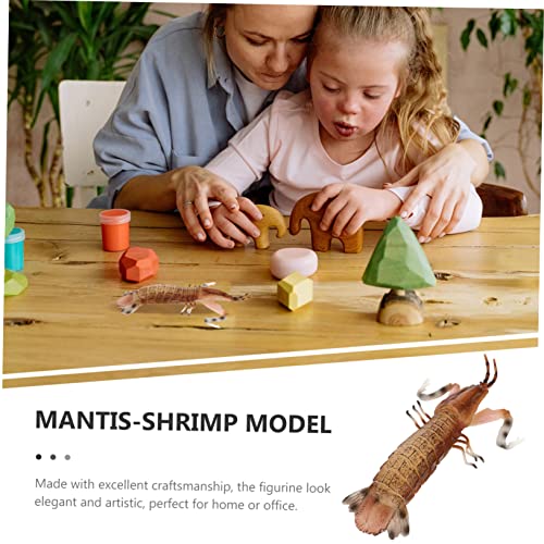 Alipis Mantis Shrimp Modell aus Verschleißfest Tragbar Lebensecht und Farbenfroh Sensorisches Lernspielzeug für Mädchen und Jungen Kreatives und Dekoration Alipis Mantis Shrimp Modell aus Verschleißfest Tragbar Lebensecht und Farbenfroh Sensorisches Lernspielzeug für Mädchen und Jungen Kreatives und Dekoration von Alipis