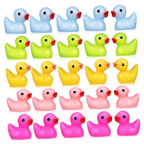 Alipis Miniatur Enten Figuren Bunte Resin Tiere Für Mini Gärten Puppenhäuser Und Dekoration Kleine Enten Pink Und von Alipis