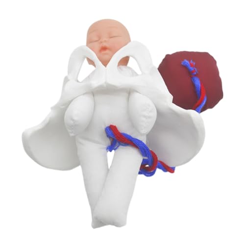 Alipis Obstetrisches Übungsmodell Geburtsbecken mit Fötus und Nabelschnur Realistischer Geburtssimulator für Pränatale Schulung Tragbares Robustes Modell für Hebammen und Medizinstudenten von Alipis