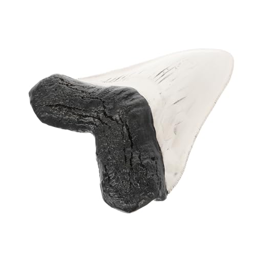 Alipis Realistisches Resin Haifischzahn Modell Versteinert Dekoratives Langlebige Retro Dekoration für Zuhause Büro Sammlung und Bildung Naturgetreue Nachbildung Alipis Realistisches Resin Haifischzahn Modell Versteinert Dekoratives Langlebige Retro Dekoration für Zuhause Büro Sammlung und Bildung Naturgetreue Nachbildung von Alipis
