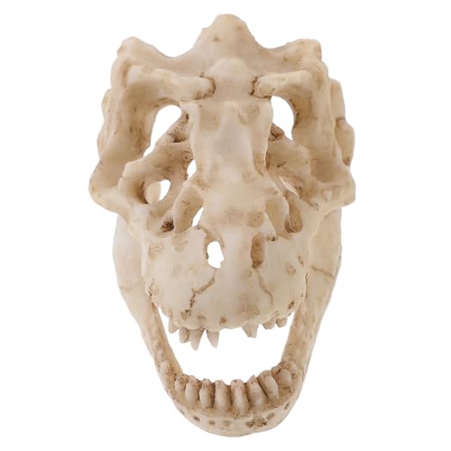 Alipis Schädelmodell Party Schädelverzierung Knochen Skelett Dinosaurier-Schlafzimmerzubehör einzigartige Schädelstatuendekoration Dinosaurier-Schädel- kleine Totenkopfskulptur Harz Alipis Schädelmodell Party Schädelverzierung Knochen Skelett Dinosaurier-Schlafzimmerzubehör einzigartige Schädelstatuendekoration Dinosaurier-Schädel- kleine Totenkopfskulptur Harz von Alipis