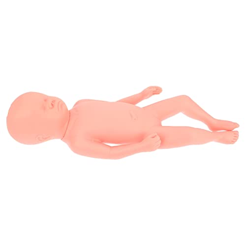 Alipis Vollzeit Fetus Modell mit Nabelschnur Pflege Modell PVC Embryo Trainingshilfe für Medizinische Pflegeeinrichtungen Studien Langlebig von Alipis