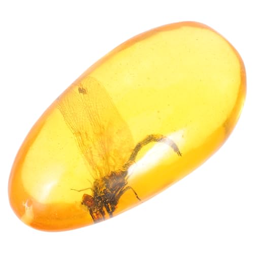 Insect Specimen Kunstvolles Resinschmuckstück für Dekorative Zwecke ca Einzigartiges Insekten für Sammler als Stilvolles Insect Specimen Kunstvolles Resinschmuckstück für Dekorative Zwecke ca Einzigartiges Insekten für Sammler als Stilvolles von Alipis