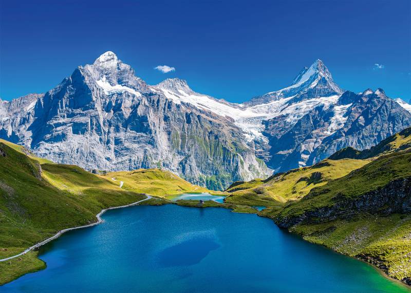 Alipson Puzzle Bachalpsee, Alpen 1000 Teile Puzzle Alipson-Puzzle-F-50019 von Alipson Puzzle