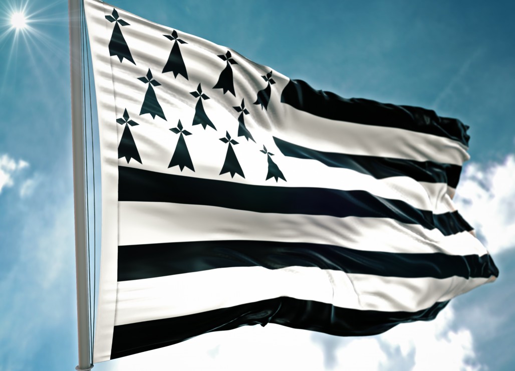 Alipson Puzzle Gwenn à Du  500 Teile Puzzle Alipson-Puzzle-F-50311 von Alipson Puzzle