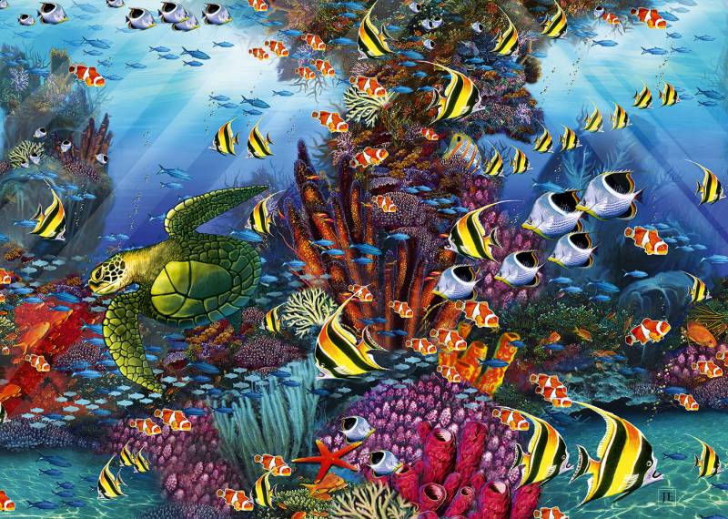 Alipson Puzzle The Reef Detail 1500 Teile Puzzle Alipson-Puzzle-50041 von Alipson Puzzle
