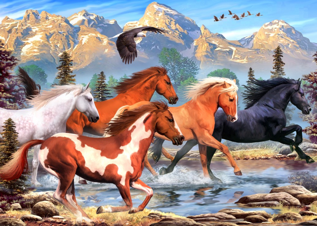 Alipson Puzzle Wild and Free 500 Teile Puzzle Alipson-Puzzle-F-50171 Alipson Puzzle Wild and Free 500 Teile Puzzle Alipson-Puzzle-F-50171 von Alipson Puzzle